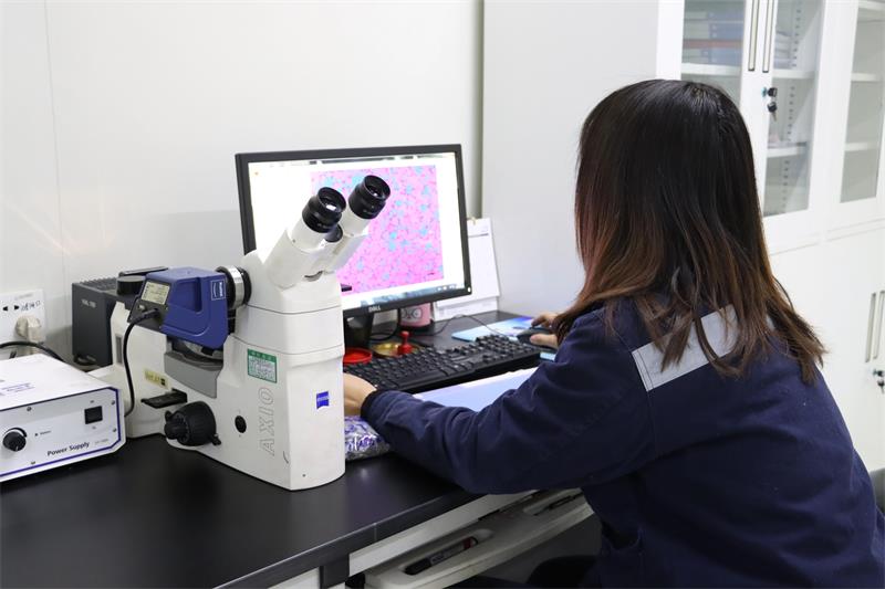 綠色智造，引領未來！明泰鋁業產品結構升級與再生鋁戰略深化之路